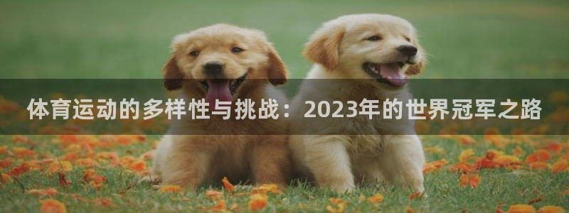 尊龙官网下载招商电话号码是多少：体育运动的多样性与挑