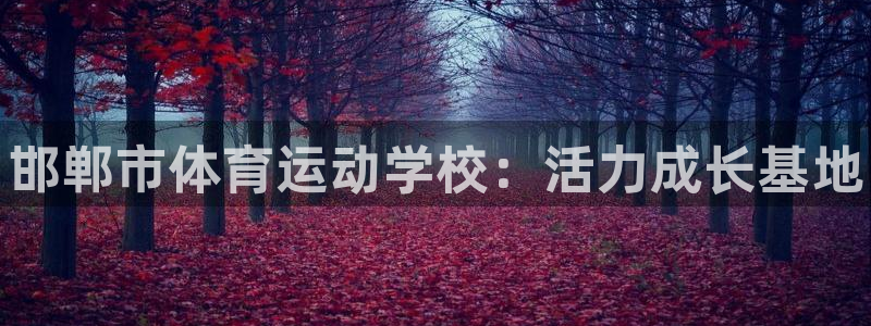 尊龙官网下载平台是正规平台吗知乎：邯郸市体育运动学校