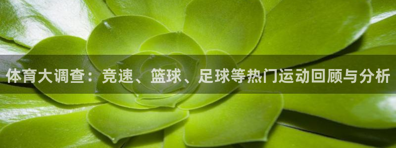 尊龙官方平台体育：体育大调查：竞速、篮球、足球等热门运动回顾