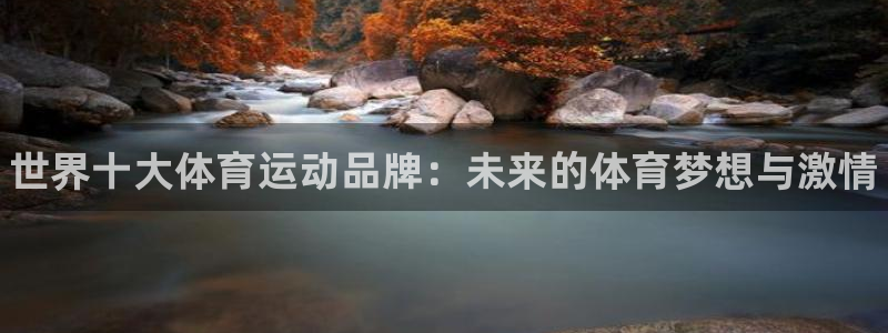 尊龙官方正版app集团简介：世界十大体育运动品牌：未