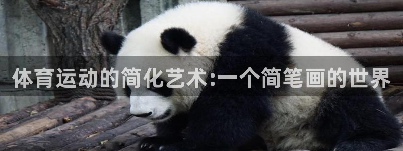 尊龙官方正版app新能源：体育运动的简化艺术:一个简