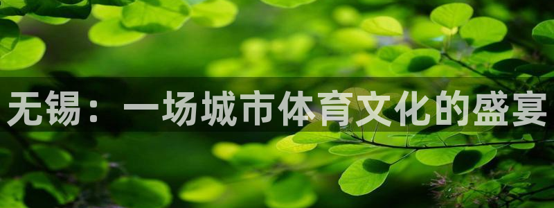 尊龙官网下载招商：无锡：一场城市体育文化的盛宴