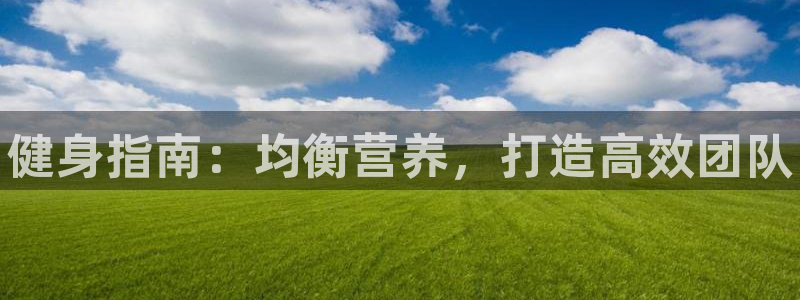 德国尊龙官方正版app集团