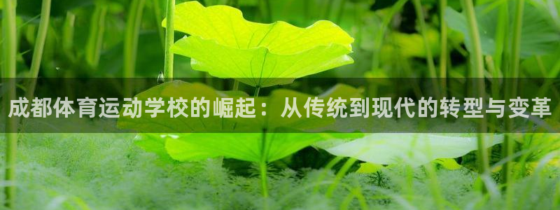 尊龙官方正版app娱乐：成都体育运动学校的崛起：从传统到现代