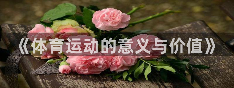 德国尊龙官方正版app集团：《体育运动的意义与价值》