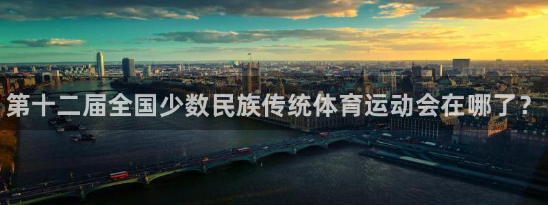 尊龙官方正版app集团简介：第十二届全国少数民族传统体育运动