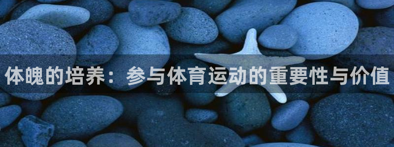 尊龙官方正版app开户：体魄的培养：参与体育运动的重
