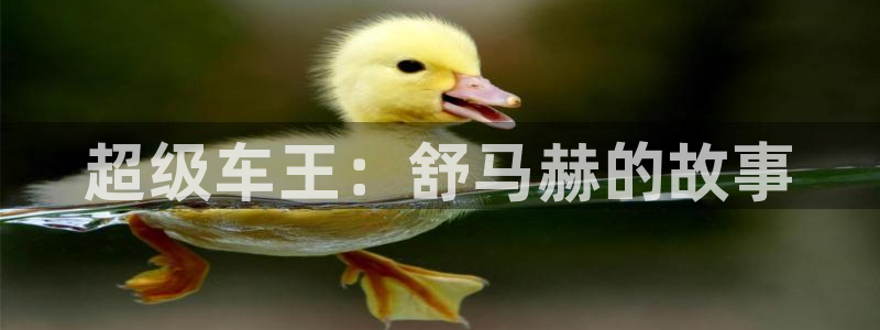 尊龙官网下载招商电话号码是多少啊：超级车王：舒马赫的故事