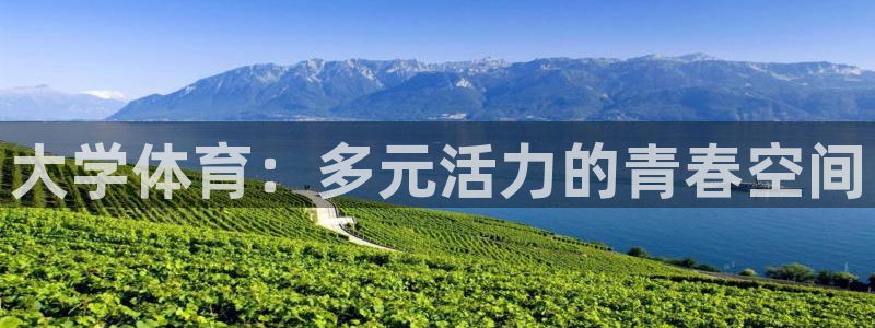 尊龙官网下载：大学体育：多元活力的青春空间