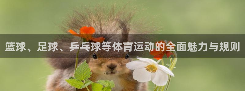 尊龙官方正版app集团E.ON：篮球、足球、乒乓球等体育运动