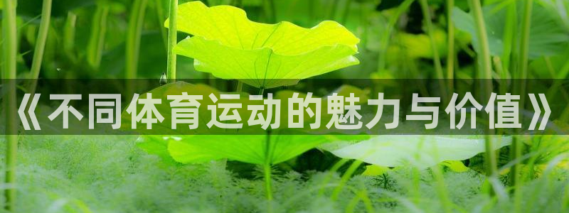 尊龙官网下载招商电话号码查询是多少：《不同体育运动的魅力与价