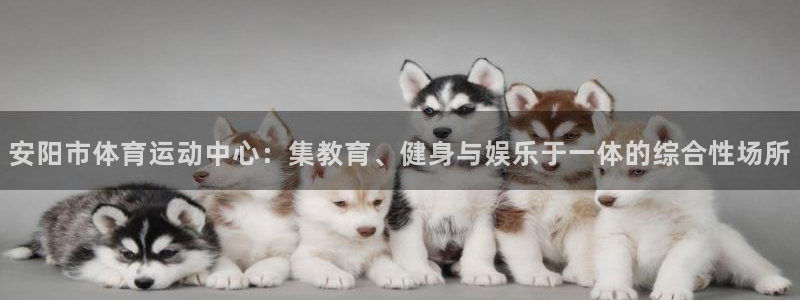 尊龙官方正版app官网：安阳市体育运动中心：集教育、