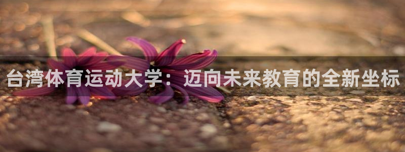 尊龙官网下载娱乐：台湾体育运动大学：迈向未来教育的全新坐标