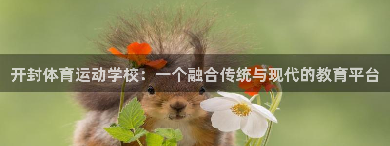 尊龙官网下载平台APP：开封体育运动学校：一个融合传统与现代