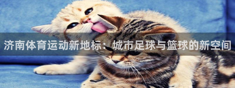 尊龙官方正版app官网：济南体育运动新地标：城市足球与篮球的