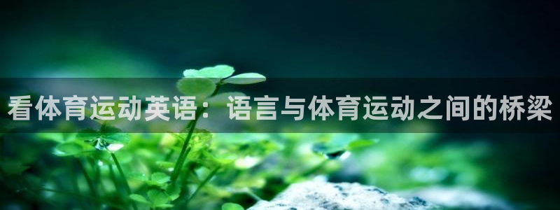 尊龙官网下载平台注册要钱吗：看体育运动英语：语言与体