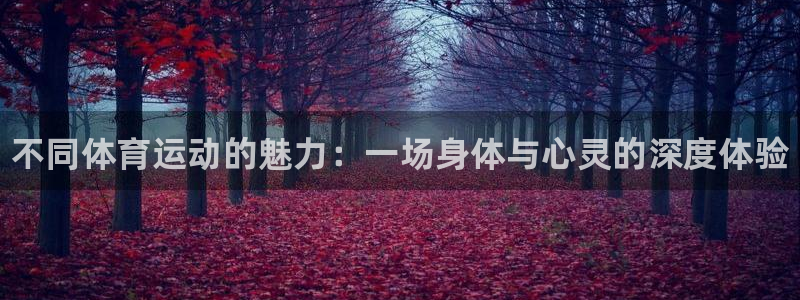 尊龙官方正版app集团简介:不同体育运动的魅力:一场身体与心