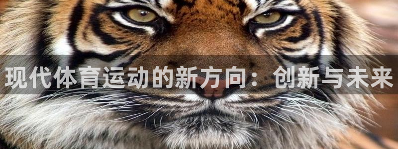 尊龙官方正版app娱乐代理怎么样：现代体育运动的新方