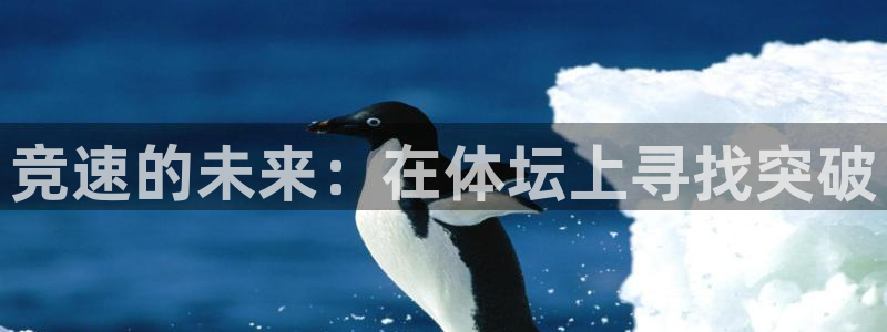 尊龙官网下载平台假的吗是真的吗：竞速的未来：在体坛上