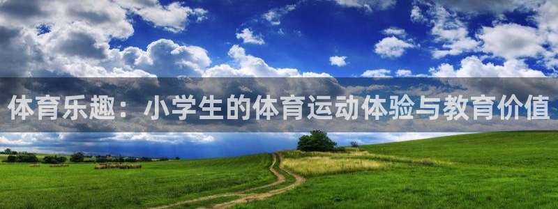 尊龙官网下载平台是正规平台吗：体育乐趣：小学生的体育