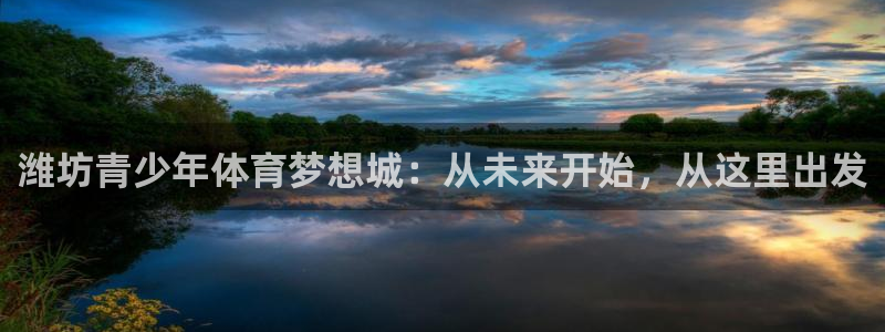 尊龙官方正版app集团简介