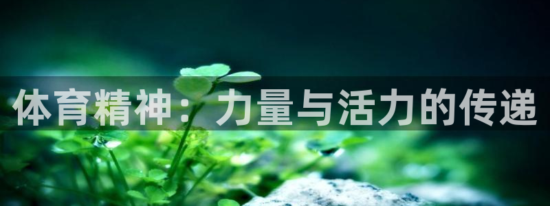 尊龙官方正版app集团logo：体育精神：力量与活力的传递