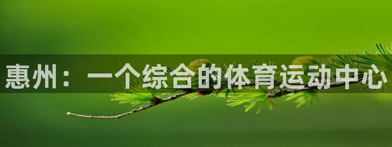 尊龙官网下载平台注册：惠州：一个综合的体育运动中心