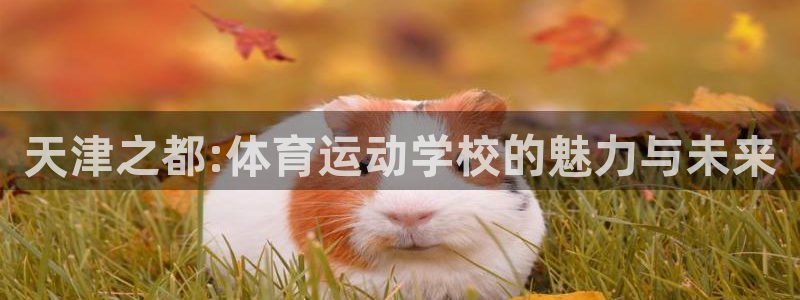 尊龙官网下载平台注册要钱吗