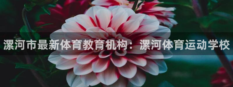 尊龙官网下载平台假的吗是真的吗吗