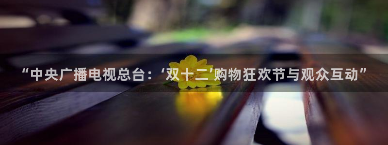 熊猫体育直播体验升级版.苹果进.org：“中央广播电视总台：‘双十二’购物狂欢节与观众互动”