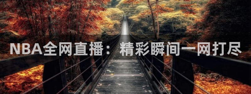 熊猫体育下载免费看球赛直播：NBA全网直播：精彩瞬间一网打尽
