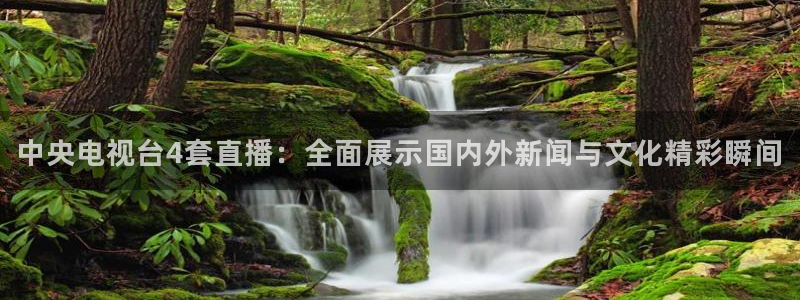 熊猫熊猫歌曲：中央电视台4套直播：全面展示国内外新闻与文化精彩瞬间